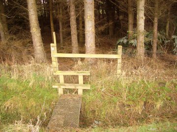 The way we should have come